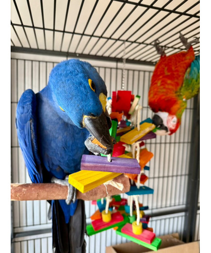 Parrot-Supplies Wood & Sisal Mega Jungle Macaw Parrot Toy